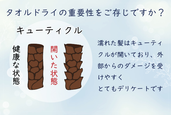 キューティクルを傷つけてしまうことが、髪が傷む原因です