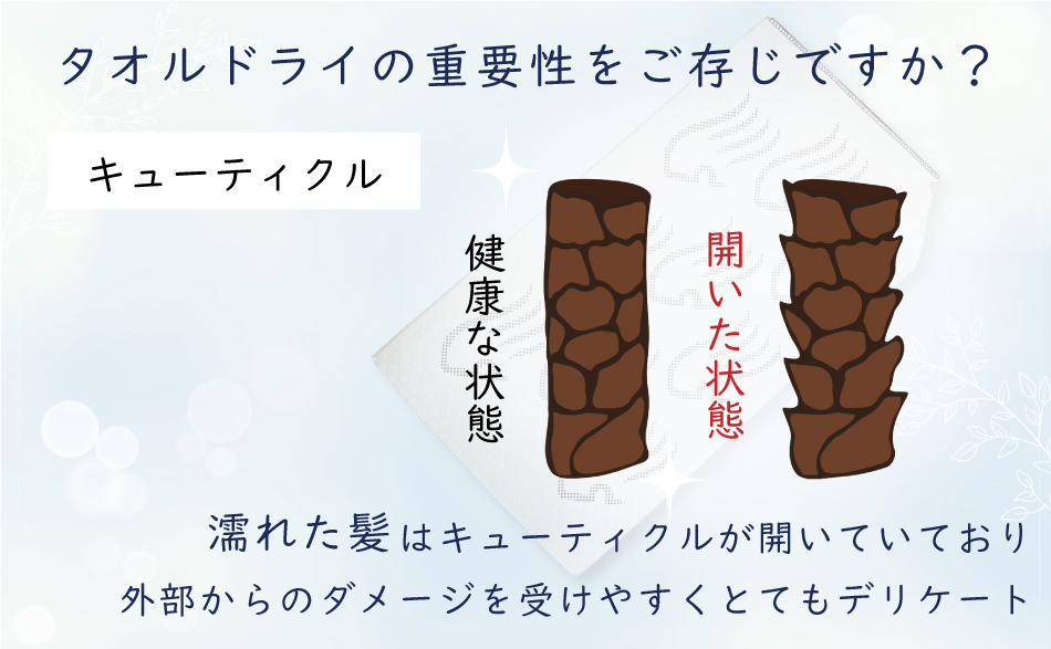 キューティクルを傷つけてしまうことが、髪が傷む原因です