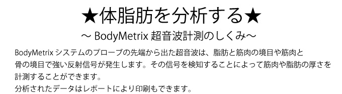 体脂肪を分析をする