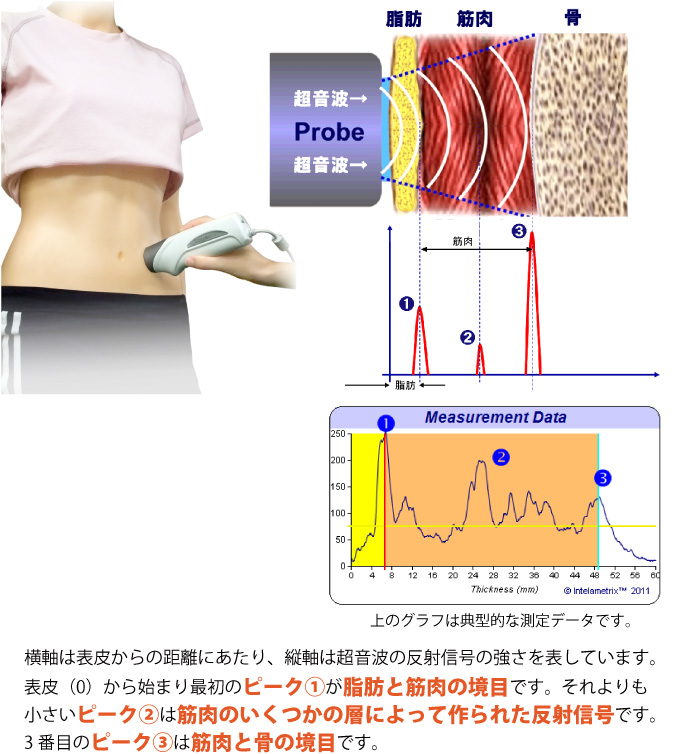 BodyMetrix超音波BMI測定装置 脂肪を観る、筋肉を観る、測るから観るへ。BodyMetrixの新しいBMIの測り方