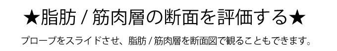 断層の断面図を分析する
