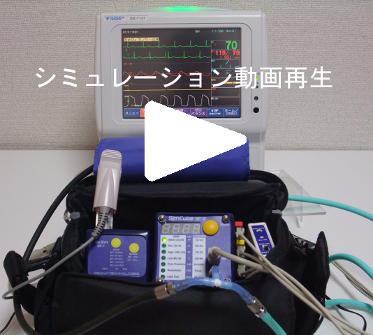 動画